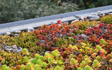 the cost of Bideford green roof installation