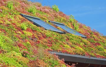 Bideford living roof systems